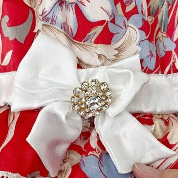 Small Dog Floral Party Wedding Lace Peter Pan Collar Tiered Tulle Dress with Bow - Picture 7 of 10